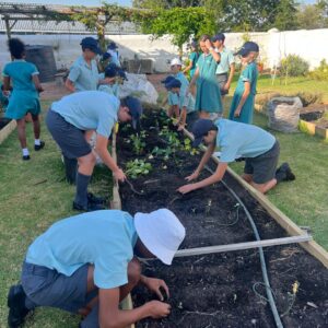 Planting